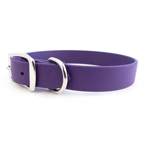 Sparky's Choice Standard Buckle Dog Collar – Durable Odor-Resistant BioThane® | Made in USA by Auburn Leathercrafters Auburn Leathercrafters  item