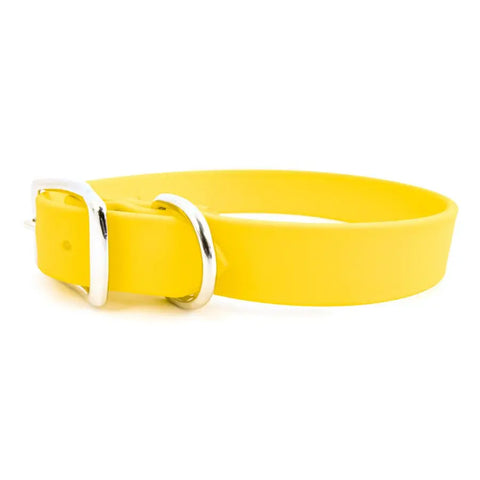 Sparky's Choice Standard Buckle Dog Collar – Durable Odor-Resistant BioThane® | Made in USA by Auburn Leathercrafters Auburn Leathercrafters  item