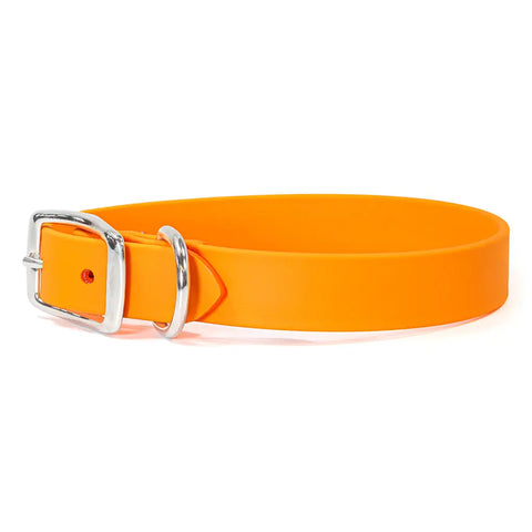 Sparky's Choice Standard Buckle Dog Collar – Durable Odor-Resistant BioThane® | Made in USA by Auburn Leathercrafters Auburn Leathercrafters  item