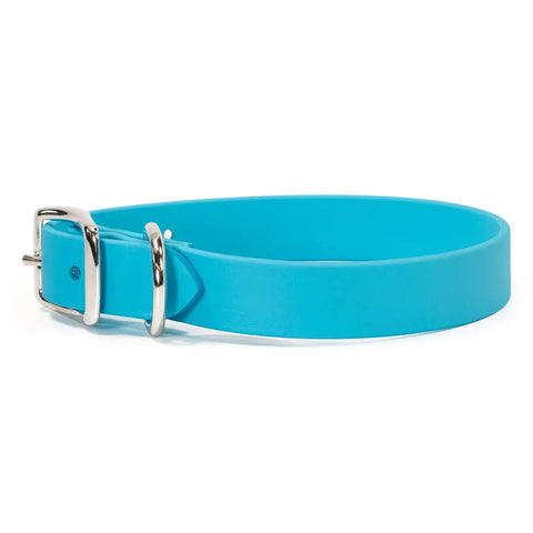 Sparky's Choice Standard Buckle Dog Collar – Durable Odor-Resistant BioThane® | Made in USA by Auburn Leathercrafters Auburn Leathercrafters  item