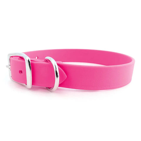 Sparky's Choice Standard Buckle Dog Collar – Durable Odor-Resistant BioThane® | Made in USA by Auburn Leathercrafters Auburn Leathercrafters  item