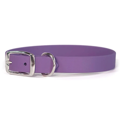 Sparky's Choice Standard Buckle Dog Collar – Durable Odor-Resistant BioThane® | Made in USA by Auburn Leathercrafters Auburn Leathercrafters  item