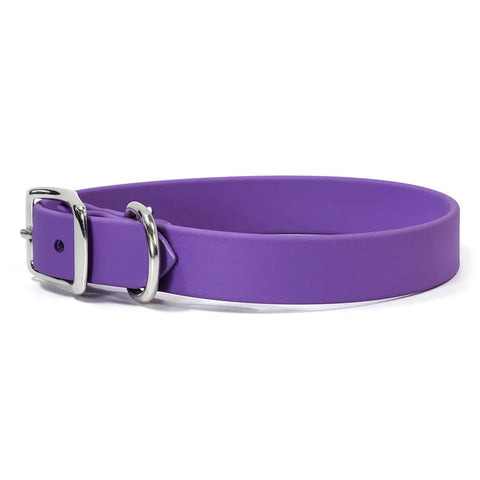 Sparky's Choice Standard Buckle Dog Collar – Durable Odor-Resistant BioThane® | Made in USA by Auburn Leathercrafters Auburn Leathercrafters  item