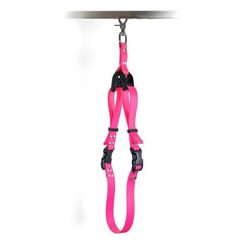 Sparky's Grooming Belly Band Belt Support Set Auburn Leathercrafters  item