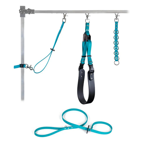 Sparky's Grooming Restraint System Auburn Leathercrafters  item