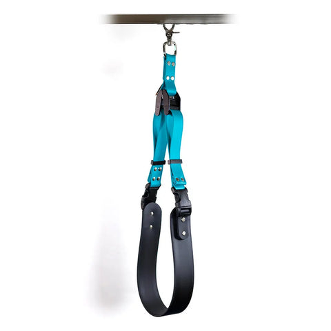 Sparky's Grooming Restraint System Auburn Leathercrafters  item