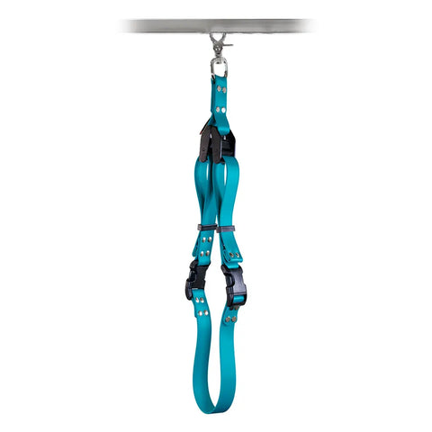 Sparky's Grooming Restraint System Auburn Leathercrafters  item