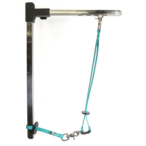 Sparky's Grooming Restraint System Auburn Leathercrafters  item