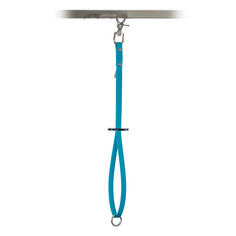 Sparky's Grooming Restraint System Auburn Leathercrafters  item