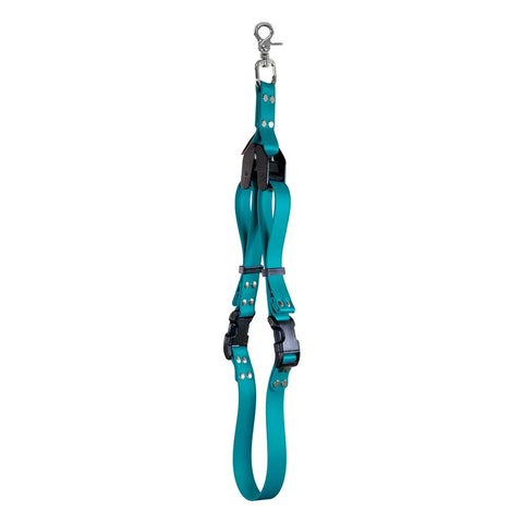 Sparky’s Grooming Restraint System – BioThane Adjustable Pet Grooming Accessories Kit | Made in USA Auburn Leathercrafters  item
