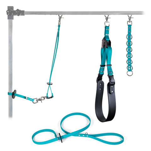 Sparky’s Grooming Restraint System – BioThane Adjustable Pet Grooming Accessories Kit | Made in USA Auburn Leathercrafters  item