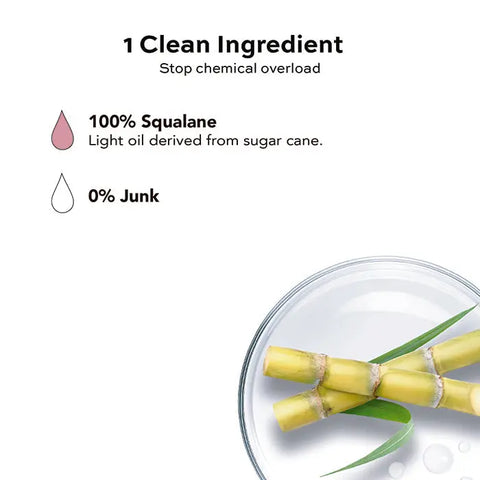 Squalane Hydrating Facial Oil – 30ml Lightweight Moisturizer | Made in USA Open Formula  Skin Care