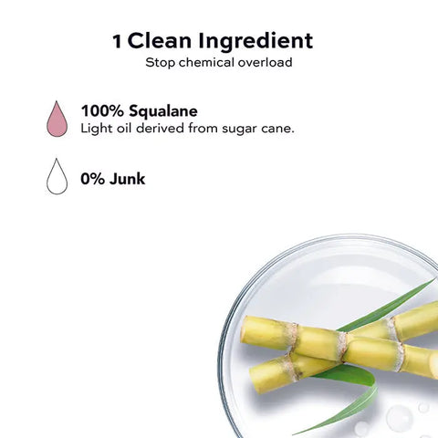 A graphic highlights 1 clean ingredient—100% Squalane by Open Formula (a light oil from sugar cane) that moisturizes skin with 0% junk. Image features sugar cane stalks and green leaves in a glass dish on white background.