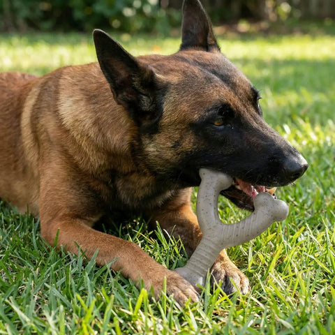 Stars and Stripes Nylon Wishbone Dog Toy – Durable Chew Toy for Powerful Jaws 6.25 Inch | Made in USA SodaPup  Nylon Dog Toys