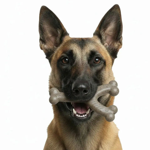 Stars and Stripes Nylon Wishbone Dog Toy – Durable Chew Toy for Powerful Jaws 6.25 Inch | Made in USA SodaPup  Nylon Dog Toys