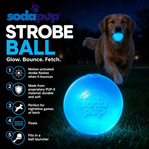 Strobe Ball Medium 2.8 Inch – Durable Floating Dog Toy | Made in USA SodaPup  Rubber Dog Toys