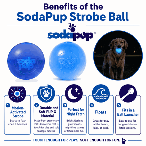 Strobe Ball Medium 2.8 Inch – Durable Floating Dog Toy | Made in USA SodaPup  Rubber Dog Toys