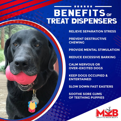 A black Labrador holds the SodaPup Sugar Skull EDispenser, a durable rubber chew toy and treat dispenser. Text lists benefits like stress relief, mental stimulation, slower eating, and gum soothing. Mutts Kick Butt logo in corner. Perfect for pups!.