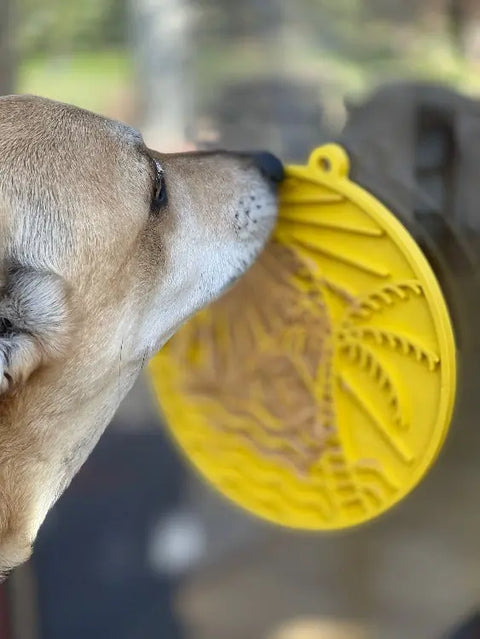 A dog licks the yellow Sun N Sea EMat Enrichment Lick Mat With Suction Cups by SodaPup, attached to glass. The textured mat features raised designs, keeping the dog focused while the background stays blurred.