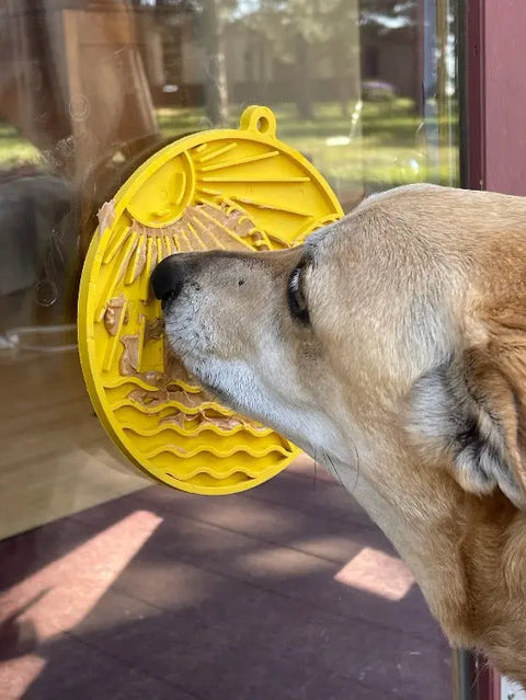 A dog enjoys peanut butter from the SodaPup Sun N Sea EMat Enrichment Lick Mat with suction cups, attached to a glass door. Sunlight and outdoor greenery create an ideal canine enrichment scene.