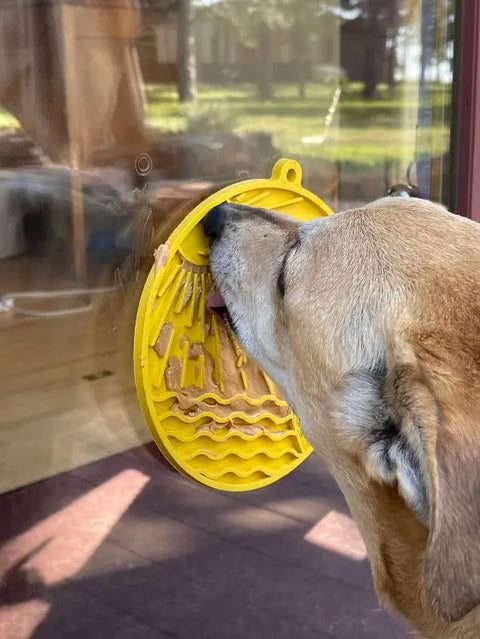 A tan dog enjoys peanut butter from the yellow Sun N Sea EMat Enrichment Lick Mat With Suction Cups by SodaPup, stuck to a glass door with outdoor scenery and indoor reflections—capturing the perfect moment of enrichment.