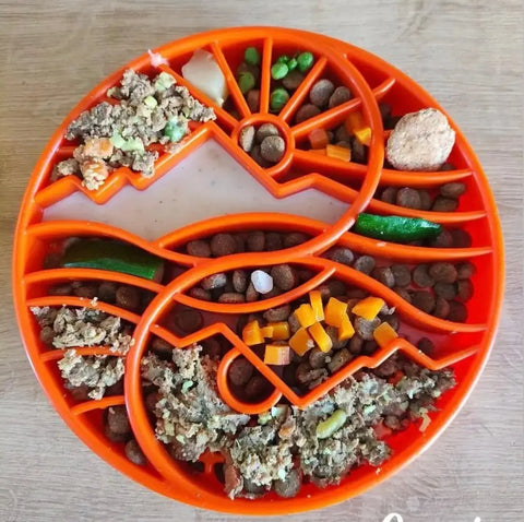The SodaPup Sun and Moon Design ETray Enrichment Slow Feeder Tray holds kibble, veggies, ground meat, peas, and a meatball in separate compartments for portion control and enrichment—ideal for small dogs.