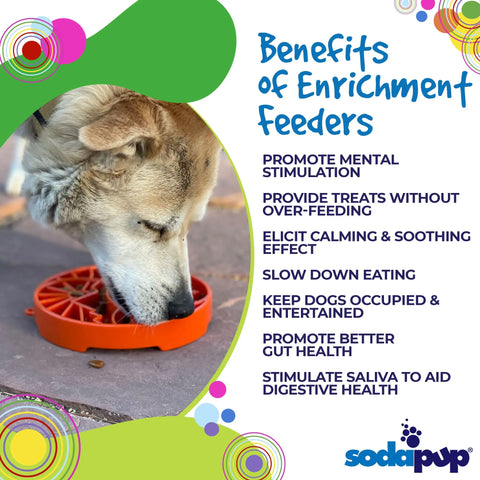 A dog eats from a Sun and Moon Design ETray Enrichment Slow Feeder Tray for Dogs by SodaPup. Nearby, a Benefits of Enrichment Feeders list highlights mental stimulation, slower eating, gut health, and entertainment; the SodaPup logo is below.