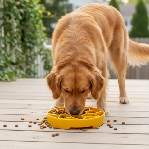 Sunflower Pattern Slow Feeder Dog Bowl – Soft Flexible Lick Mat 8 Inch | BPA-Free TPE | Made in USA SodaPup  ETRAY