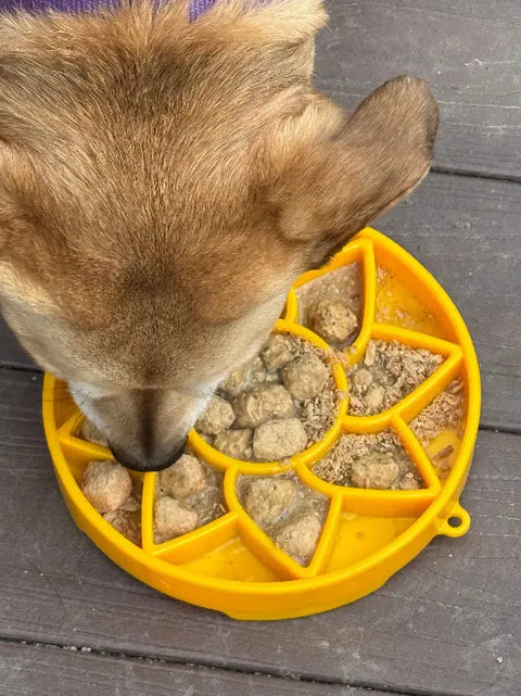 Sunflower Slow Feeder Dog Bowl 8 Inch Shallow Tray | Made in USA SodaPup  ETRAY