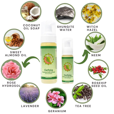 Taspen Organics Clarifying Foaming Facial Cleanser 6oz – Tea Tree Neem | Made in USA Taspen's Organics  Facial Care