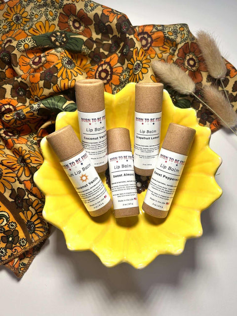 The Balm Bundle Born to be Free  Lip Balm