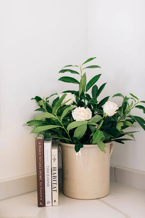 The Classic Crocks Millstream Home  Pottery 88.00 1 Gallon - L