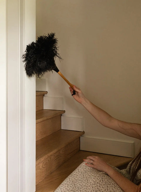 The Feather Duster Millstream Home  Homegoods