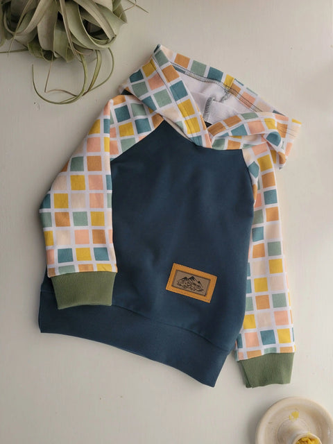 Toddler Blue Gold Check Hooded Sweatshirt – Soft American Cotton Fabric | Made in USA Adventure Clothes Company  Kids Hoodie