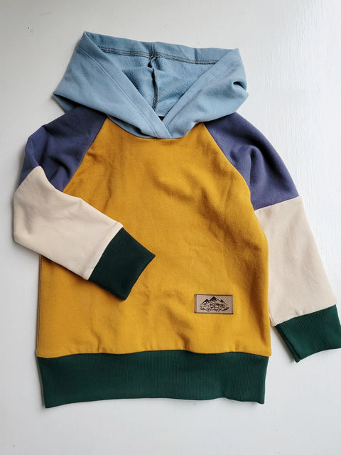 Toddler Multi-Color Mid-Weight French Terry Hoodie – Durable American Fabric | Made in USA Adventure Clothes Company  Kids Hoodie