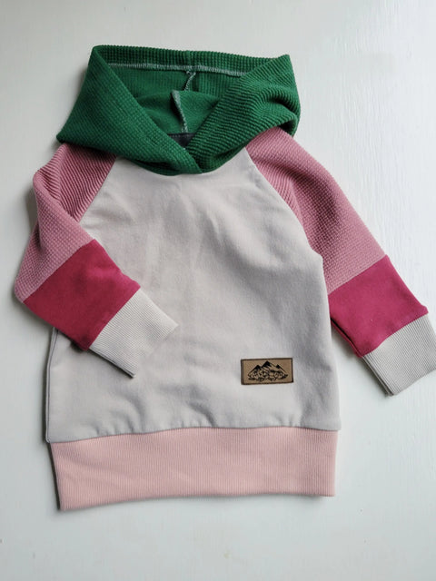 Toddler Multi-Color Mid-Weight French Terry Hoodie – Durable American Fabric | Made in USA Adventure Clothes Company  Kids Hoodie