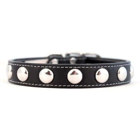 Top-Grain Leather Studded Dog Collar – Hand-Finished Comfort Fit – Auburn Leathercrafters | Made in USA Auburn Leathercrafters  item
