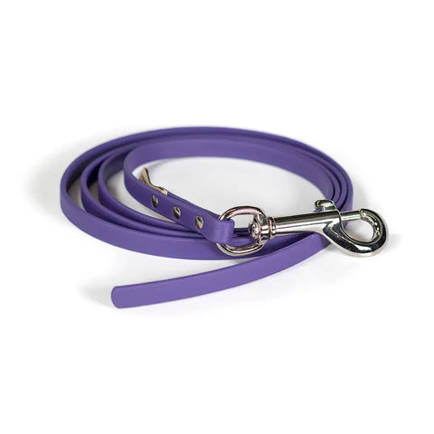 Training Drag Leash Bundle 10 Pieces – 3/8 Inch x 5 and 10 Ft No Handle Dog Leashes | Made in USA Auburn Leathercrafters  item