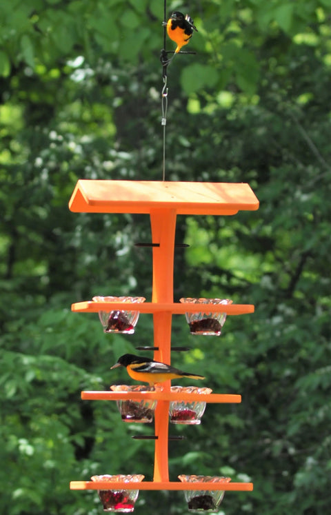 Triple Deck Oriole Jelly Feeder  – Eco-Friendly Poly Lumber | Amish-Made in USA Backyard Bird Station Amish Toy Box  Bird Feeder