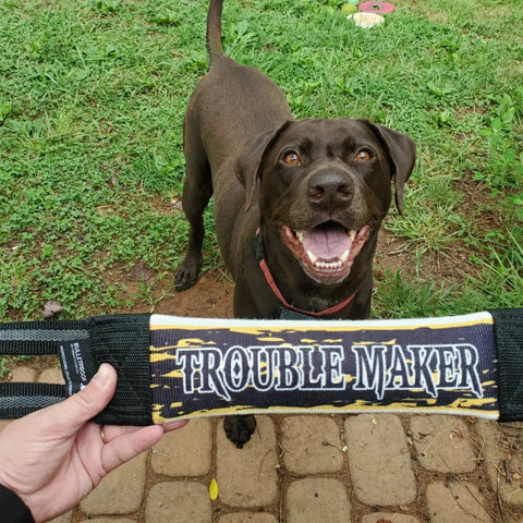 Troublemaker One Hand Fire Hose Dog Training Tug – 12 Inch Durable Tug Toy | Made in USA Bulletproof Pet Products Inc  TUGS