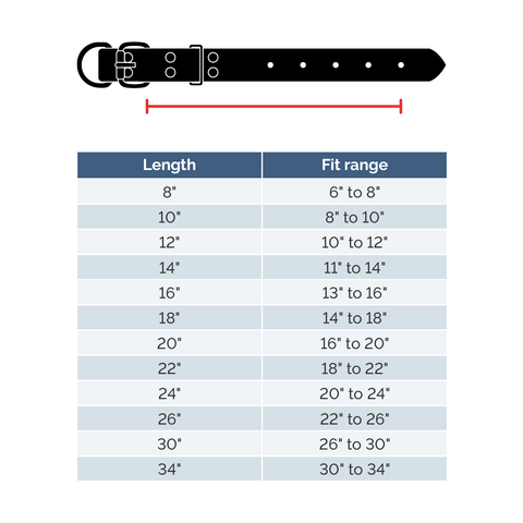 Tuff-Stuff Collars - 1-1/4" Wide Auburn Leathercrafters  item