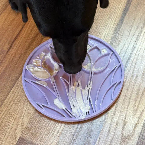 A black dog licks food from a SodaPup Tulip Design EMat Enrichment Lick Mat With Suction Cups on a wooden floor.