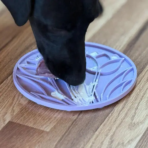 A black dog licks a SodaPup Tulip Design EMat Enrichment Lick Mat with suction cups, topped with white spread and placed on a wooden floor.
