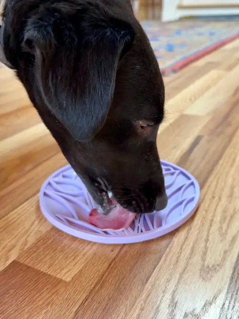 A black dog licks food from a lavender Tulip Design EMat Enrichment Lick Mat With Suction Cups by SodaPup while standing on a wooden floor.