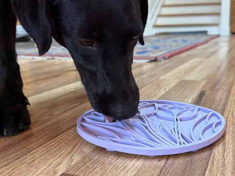 A black dog licks a SodaPup Tulip Design EMat Enrichment Lick Mat With Suction Cups on a wooden floor indoors, with a colorful rug and staircase in the background.