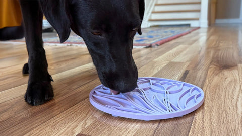 A black dog licks food from a purple Tulip Design EMat Enrichment Lick Mat With Suction Cups by SodaPup on a wooden floor, with a staircase and rug visible in the background.
