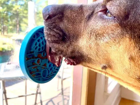 A brown dog licks a blue, turtle-shaped SodaPup Turtle Emat-Mini Enrichment Lick Mat with suction cups attached to a sunlit window, with trees and outdoor furniture visible through the glass.