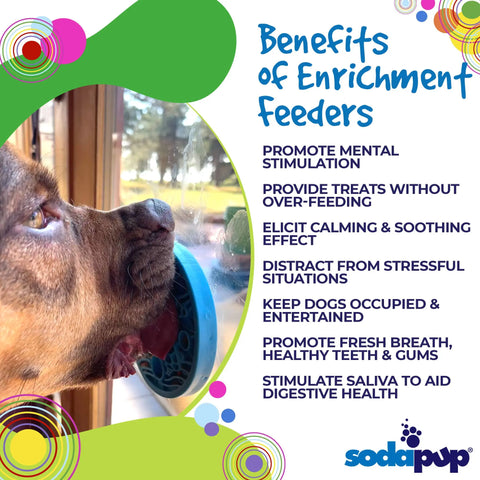 A dog licks food from a SodaPup Turtle Emat-Mini Enrichment Lick Mat With Suction Cups secured to a window. Text nearby highlights the mat’s benefits, such as mental stimulation and promoting healthy teeth in dogs.