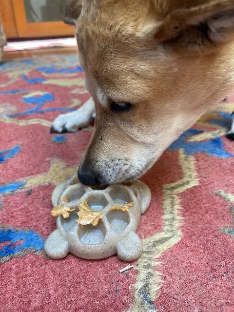 A dog sniffs or licks peanut butter from a SodaPup Turtle EChew Durable Nylon Chew and Enrichment Toy, placed on a red patterned rug.