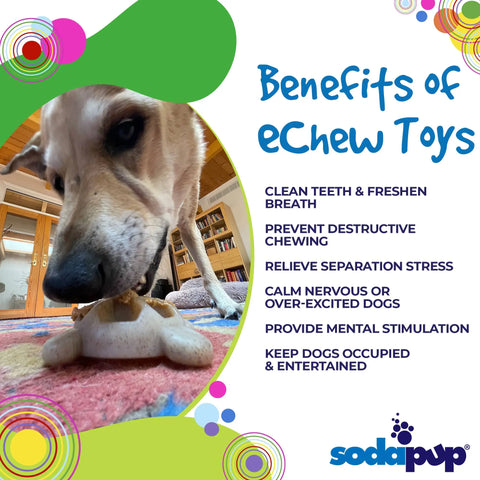 A dog chews on a Turtle EChew Durable Nylon Chew and Enrichment Toy by SodaPup in a cozy living room. Text highlights benefits: cleans teeth, discourages destructive chewing, relieves stress, calms, enriches, and entertains dogs. SodaPup logo appears.